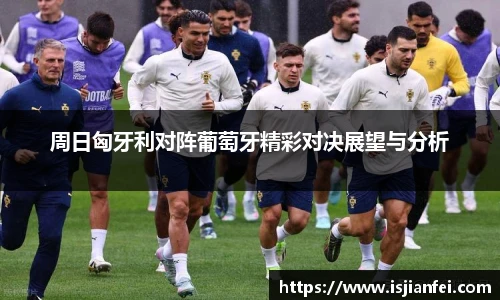 熊猫体育官网
